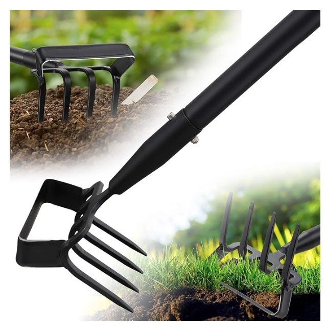 screenshot 2026 01 06 192946