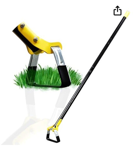 screenshot 2026 01 06 193212