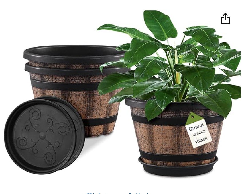 screenshot 2026 01 06 200840