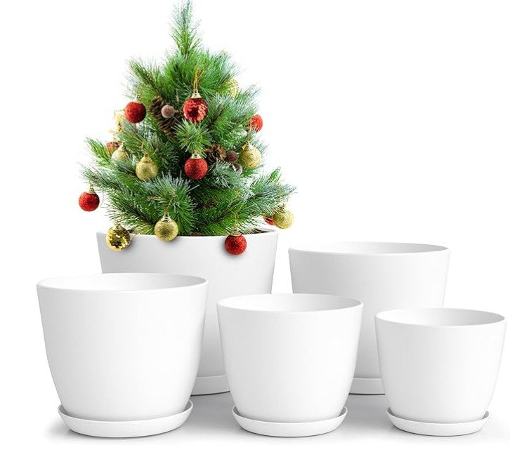 screenshot 2026 01 06 201008