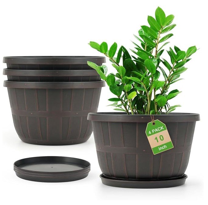 screenshot 2026 01 06 201237