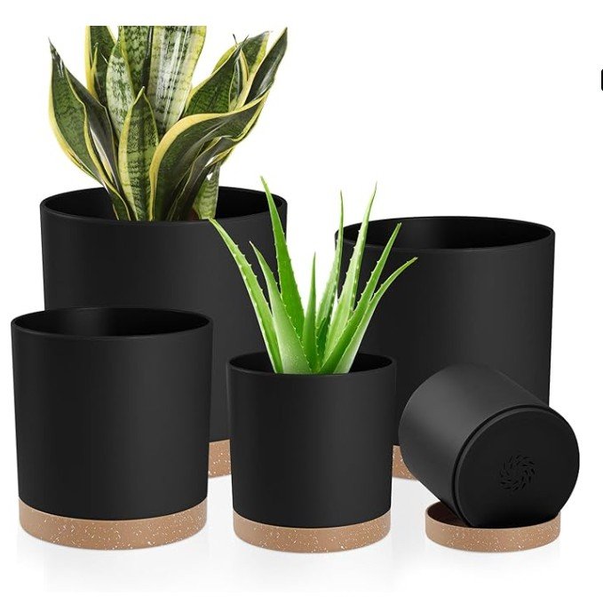 screenshot 2026 01 06 201905