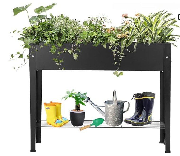 screenshot 2026 01 06 203100