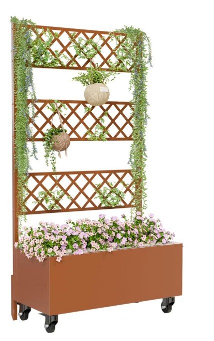 screenshot 2026 01 06 210439