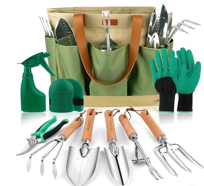 screenshot 2026 01 06 210703